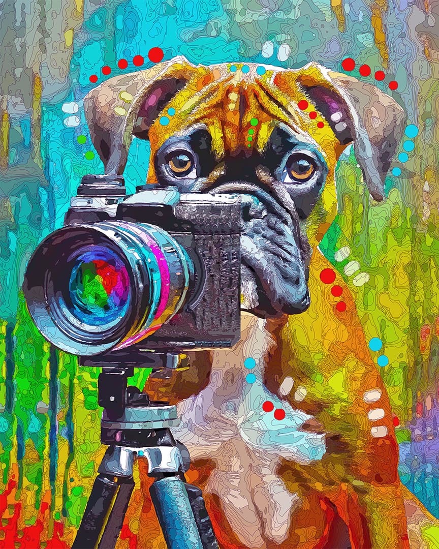 Little Boxer Puparazzi